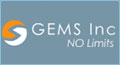 search engine optimization dallas texas, flex developers dallas texas