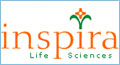 custom webdesigning london united kingdom, website maintenance london united kingdom